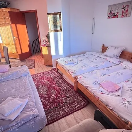 Maisonette On The Slope In Manastir 3 *
